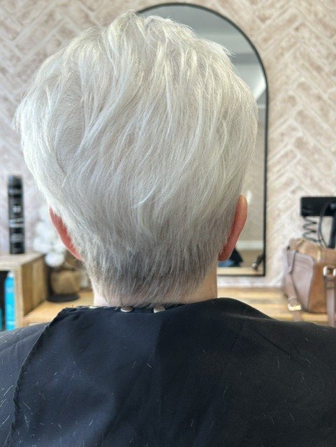 Hair created at Roots Hair Co.